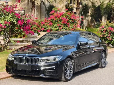 5 Series 2019 530Li Leading Model M Sport Set