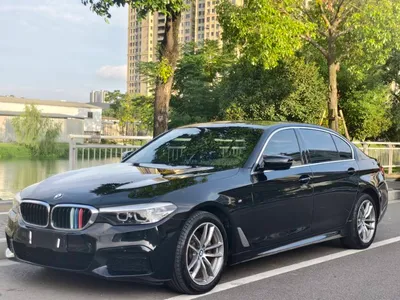 5 Series 2020 525Li M Sport Set