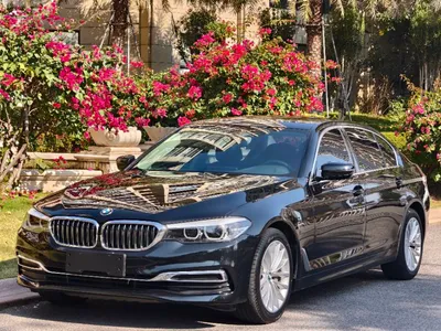 5 Series 2019 facelift 530Li Leading Luxury Package